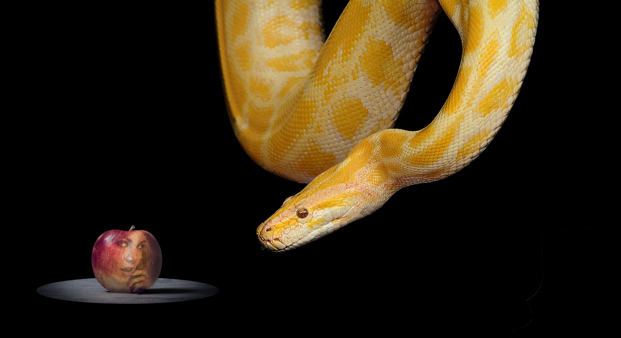 snake, apple, paradise, eve, bible, forbidden fruit, temptation, eden, adam, snake, snake, snake, snake, snake, temptation, temptation, temptation, eden